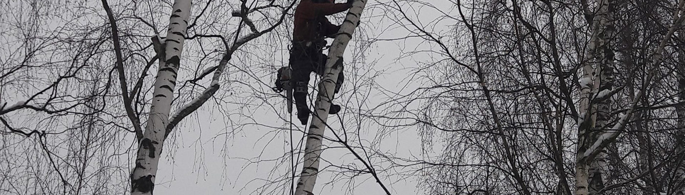 УДАЛЕНИЕ ДЕРЕВЬЕВ УДАЛЕНИЕ ДЕРЕВЬЕВ